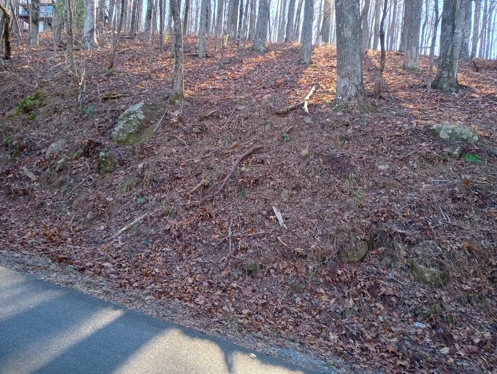 Other - Lt M214 Walnut Ridge, Ellijay, GA