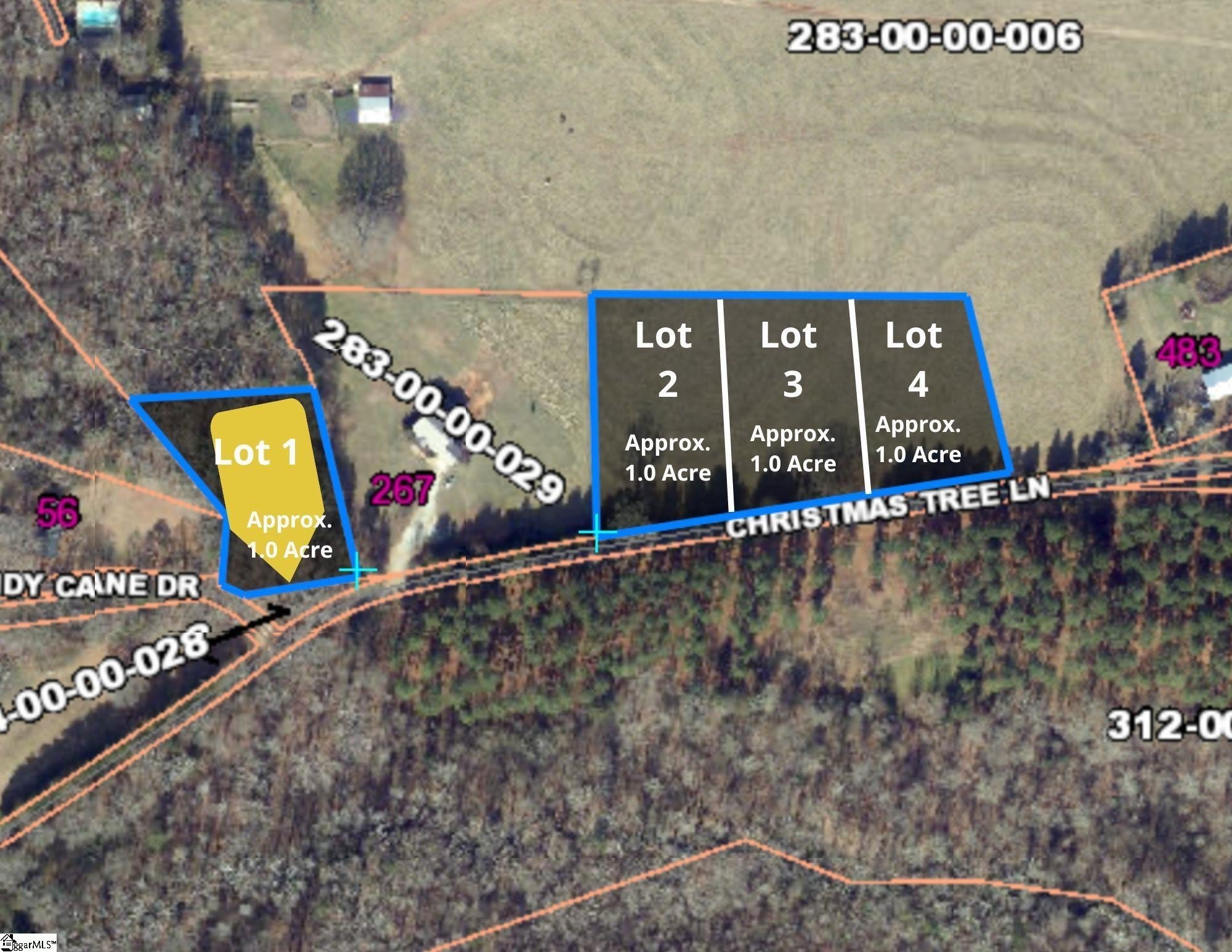 Other - 100 Living Waters Trail lot: #1, Woodruff, SC