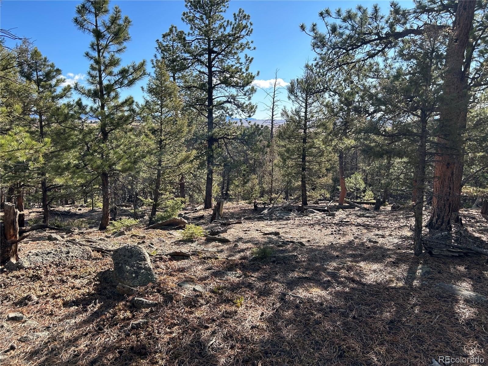 Plots and Land - 1581 Bellows Road, Hartsel, CO