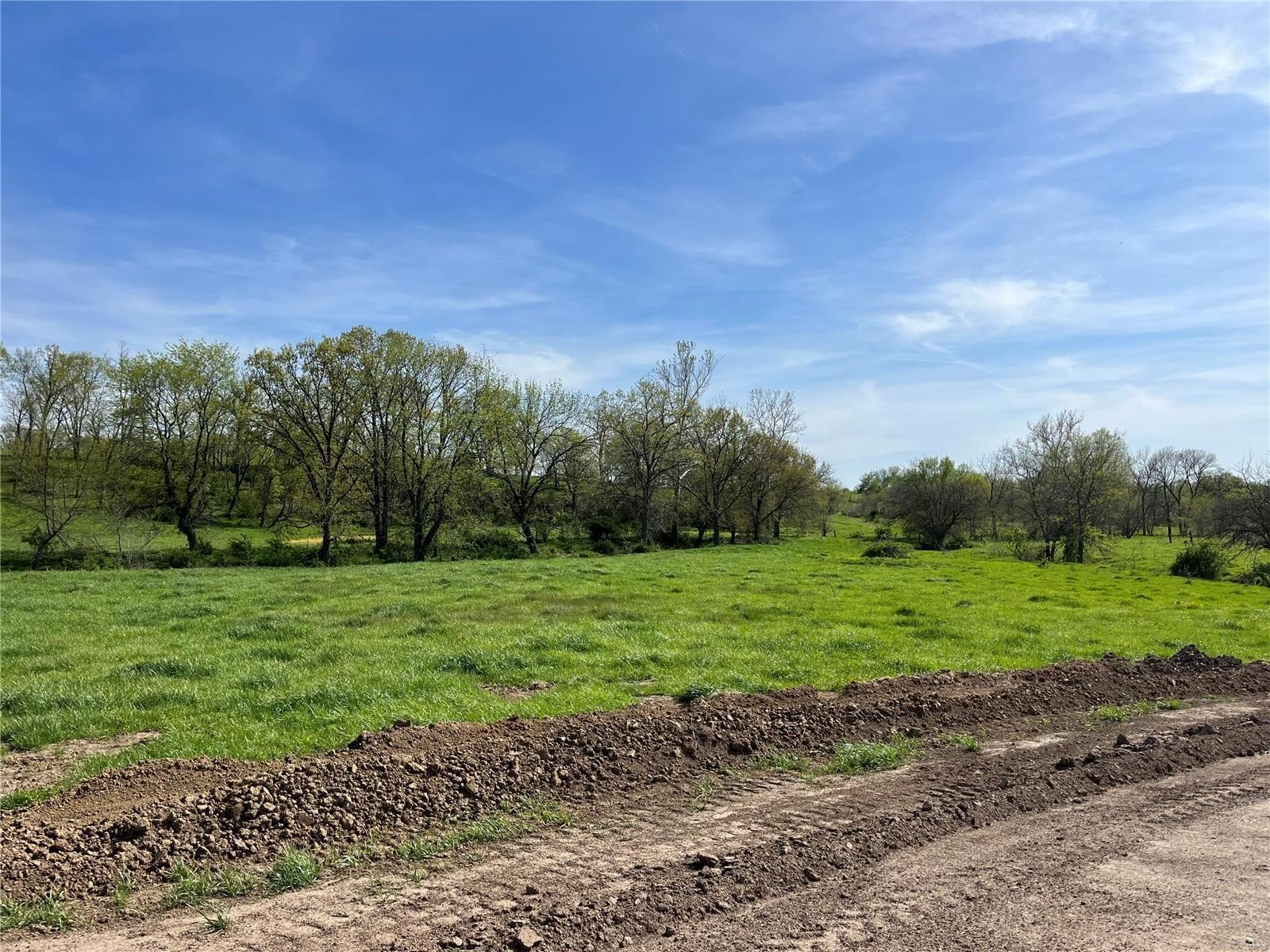 Other - 0 Lot 12 Pike 403, Bowling Green, MO