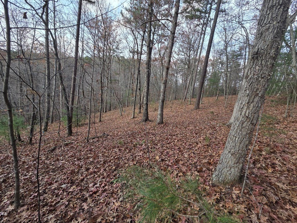 Other - 5 Fish Camp Way, Mineral Bluff, GA