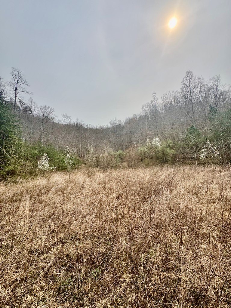 Other - 0 Middle Fork, Hager Hill, KY