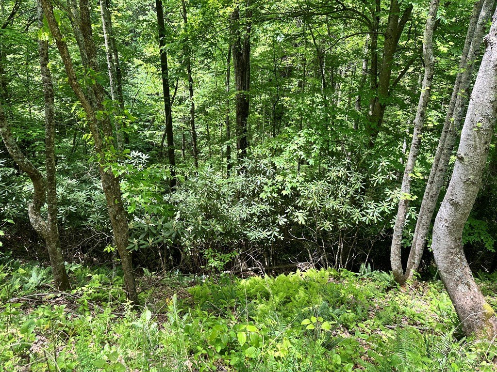 Other - Buffalow Hollow Road lot: /, Castlewood, VA