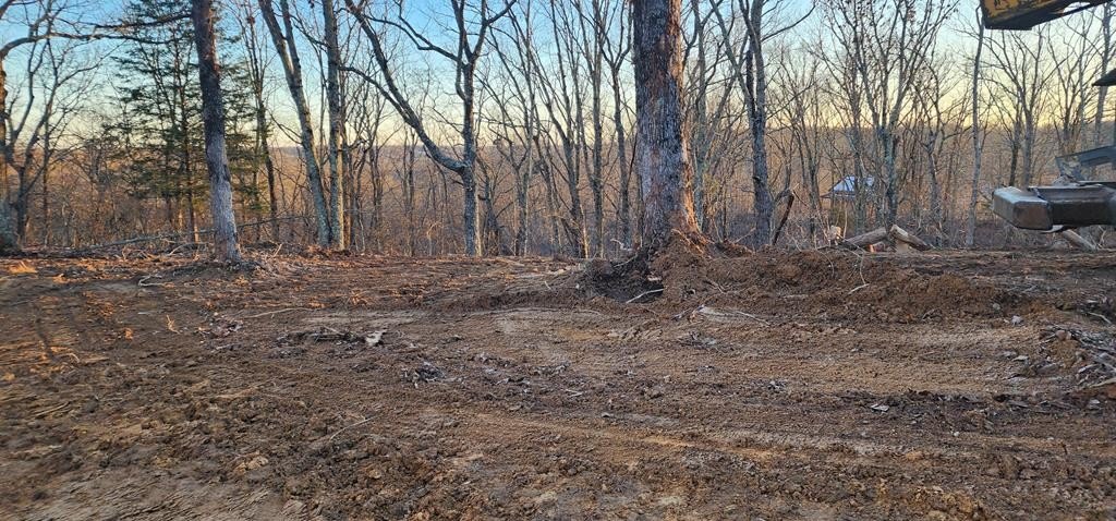 Single Family - Id05 Dogwood Dr, HOLLADAY, TN
