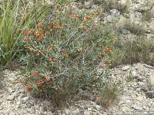 Lots 1-3 5-20 GEORGES RD  