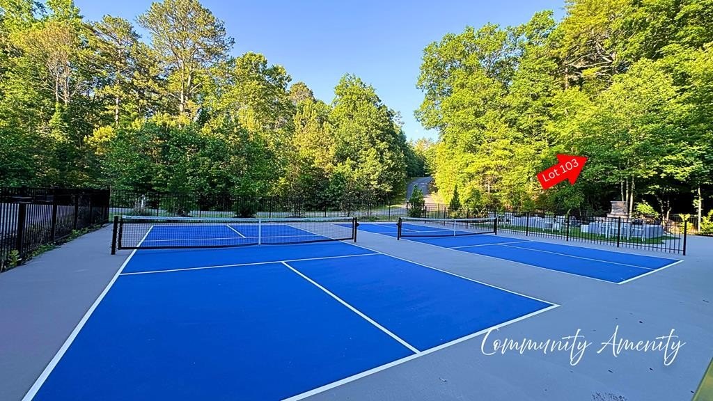 Other - Lot 103 Rhondas Way, Ellijay, GA
