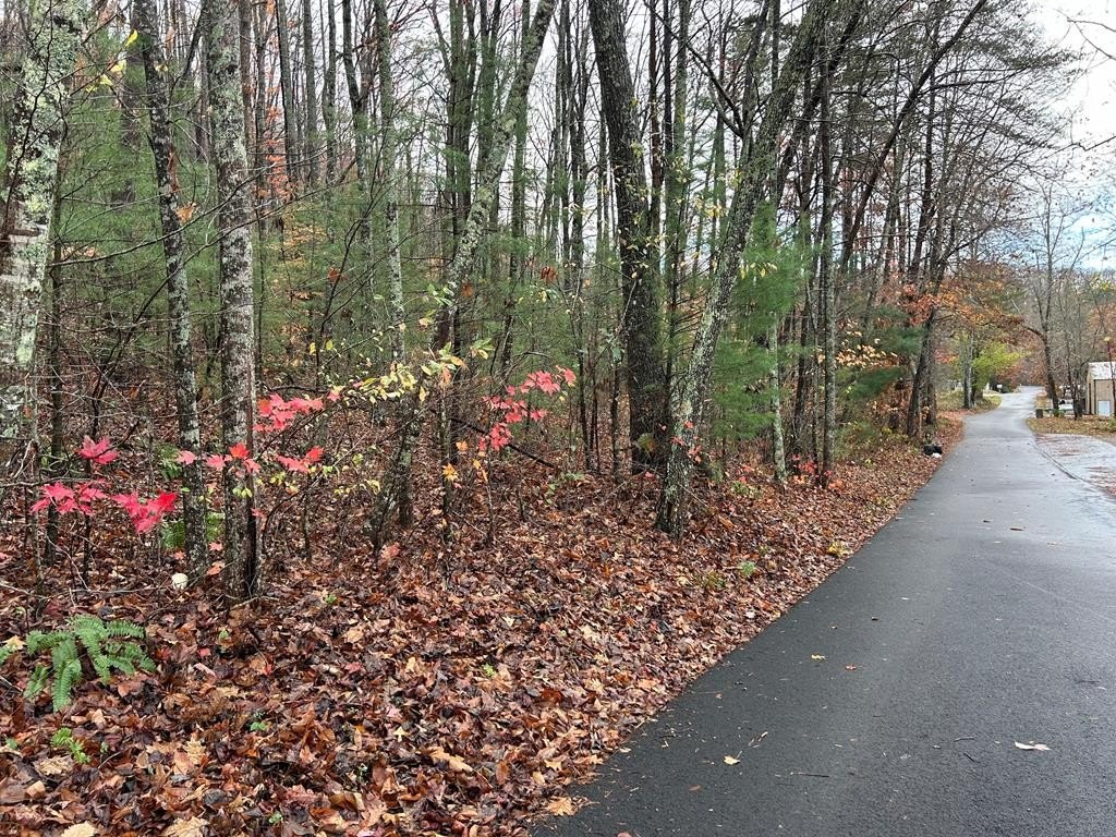 Other - Lt12&13 Butternut Grove Road, Blairsville, GA