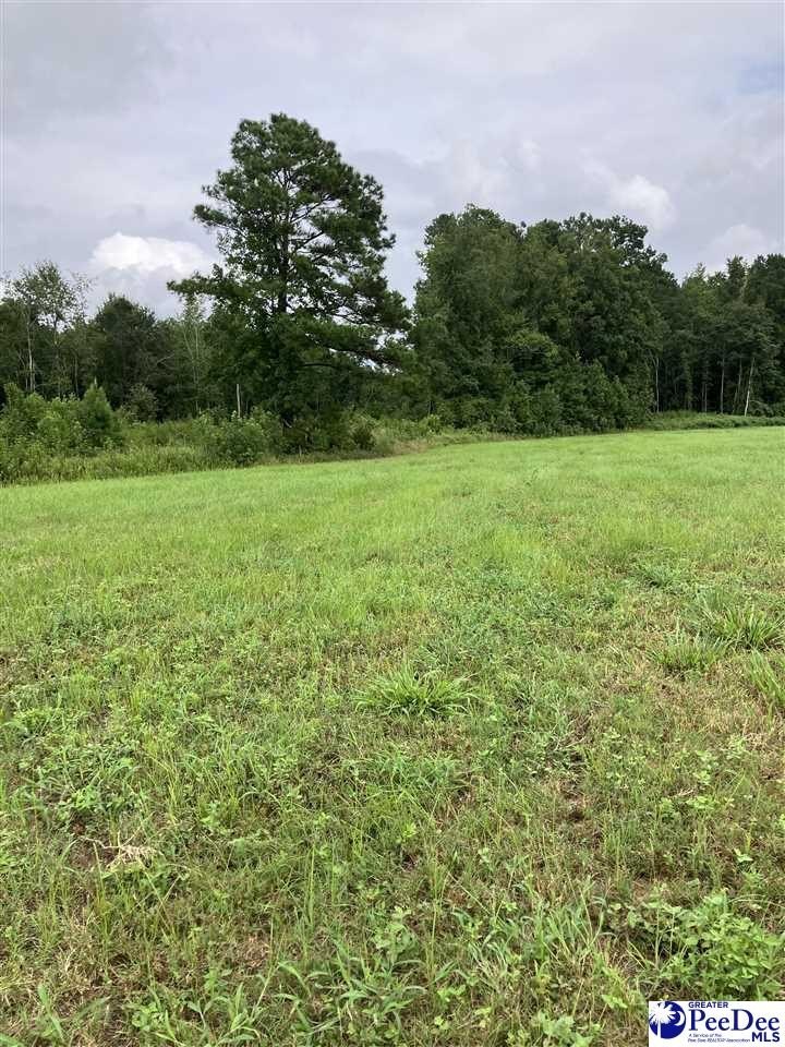 Other - 140 PINKNEY RD., KINGSTREE, SC