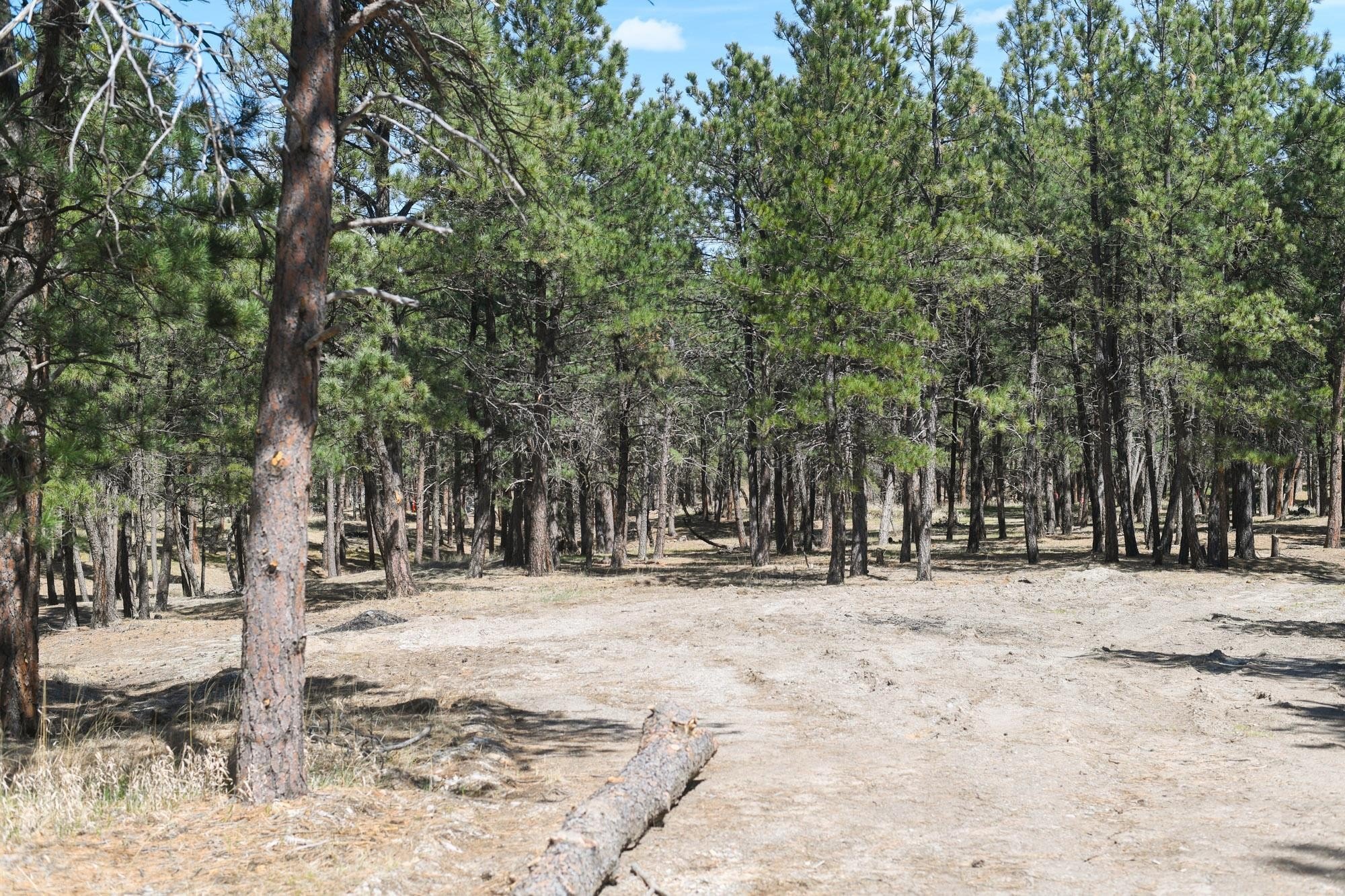 Other - lot: L1, Belle Fourche, SD
