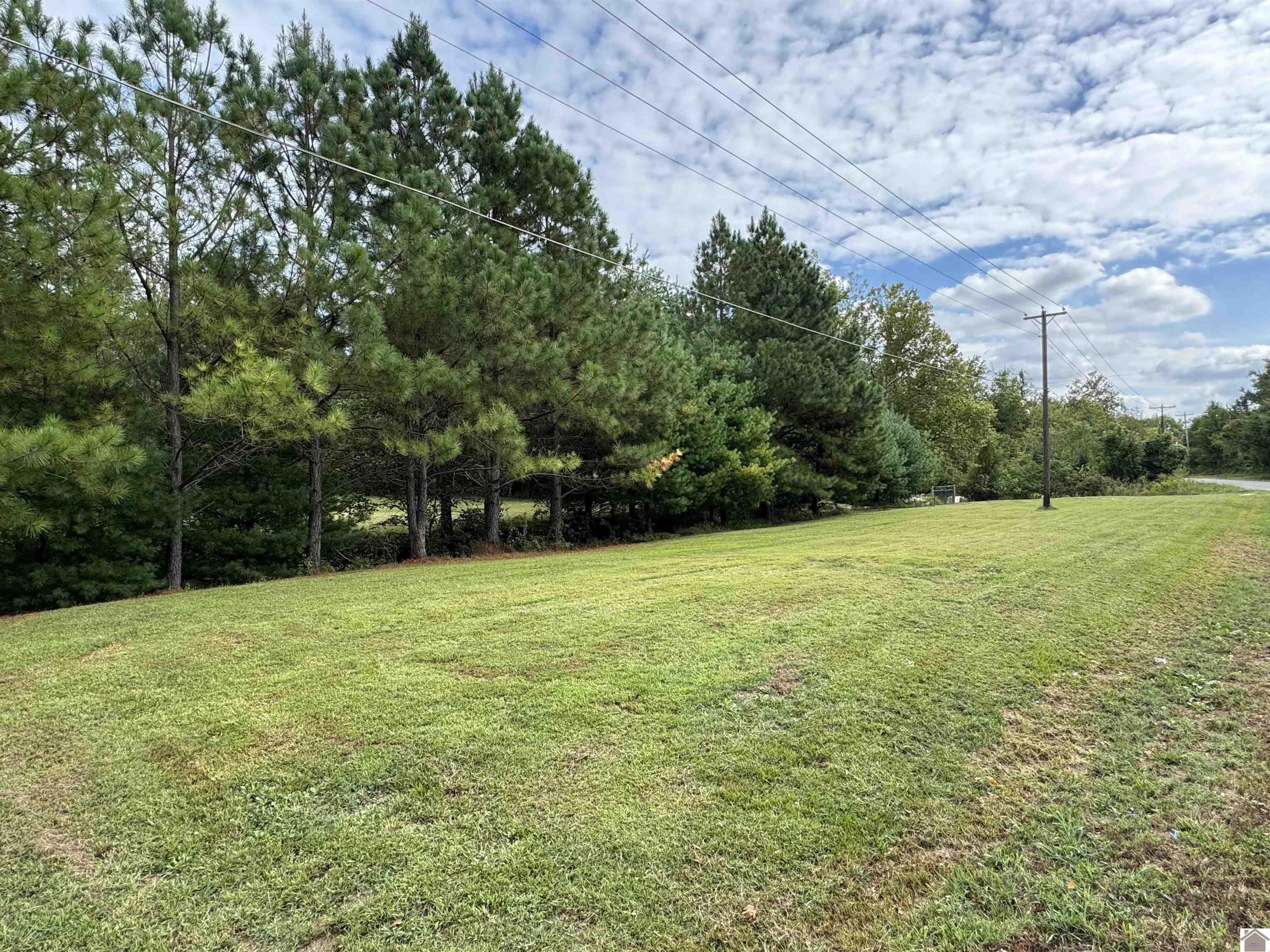 Other - 240 Jeff Watson Road, Princeton, KY