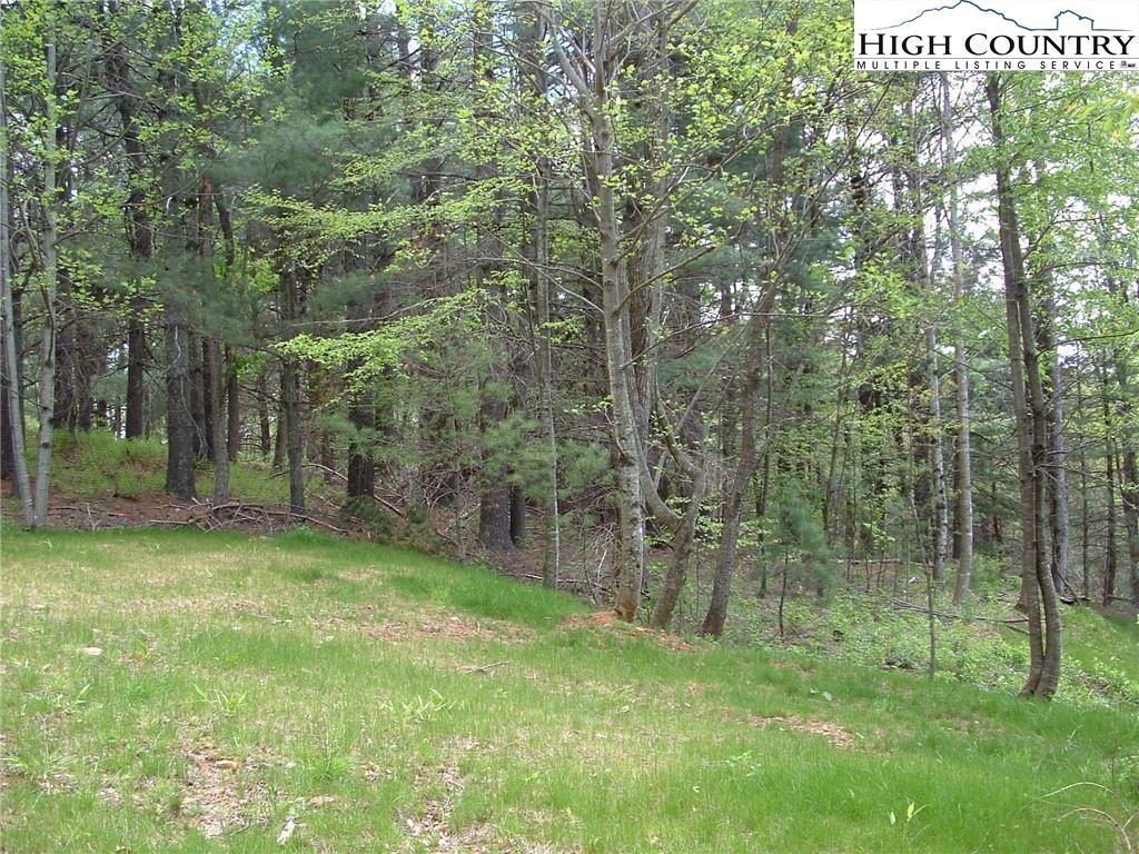 Other - Talon Drive lot: 9, Boone, NC