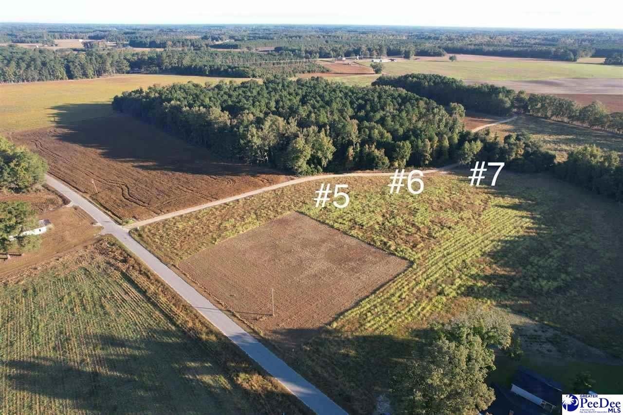 Other - Neil Drive lot: 5, Hamer, SC