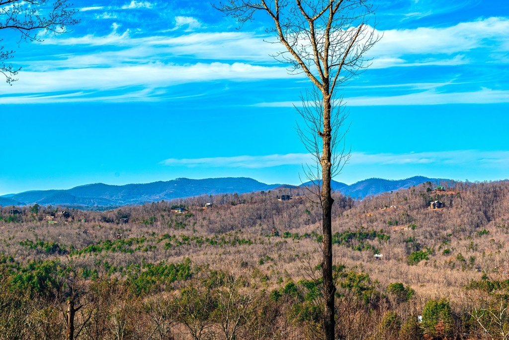 Other - Lot 9 Scouts Overlook, Morganton, GA