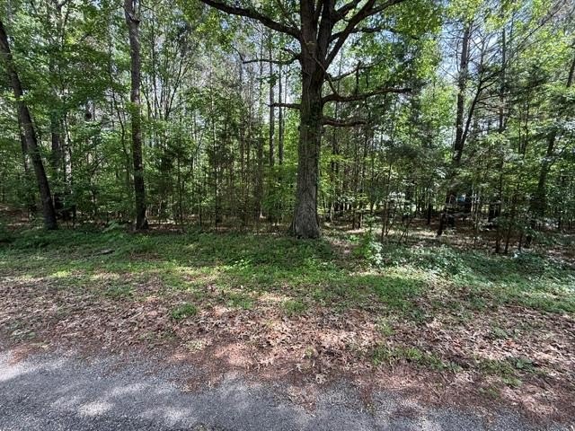 Other - Hillcrest Lane, BIG SANDY, TN
