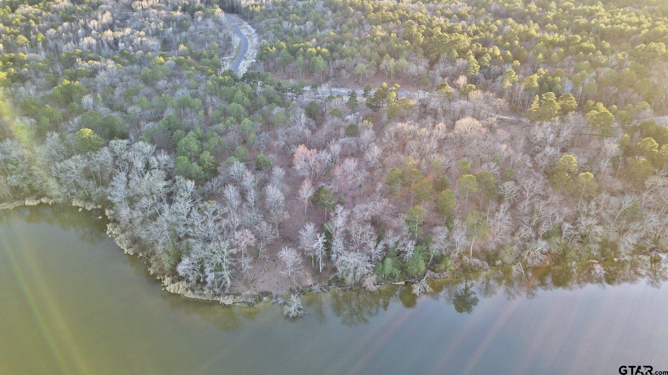 Other - 3266 Shadow Pine DR Lot 60, LaRue, TX
