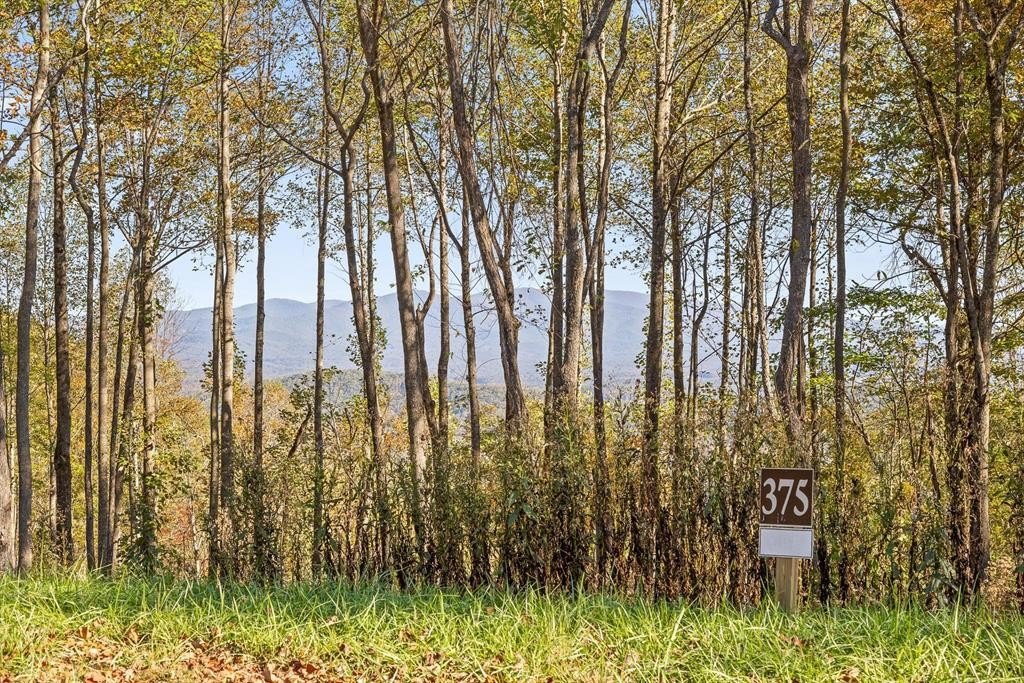 Other - Lot 375 Calloway Mountain Road, Talking Rock, GA