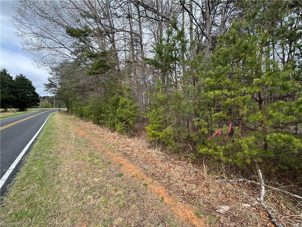 Single Family - Brims Grove Road, Pinnacle, NC