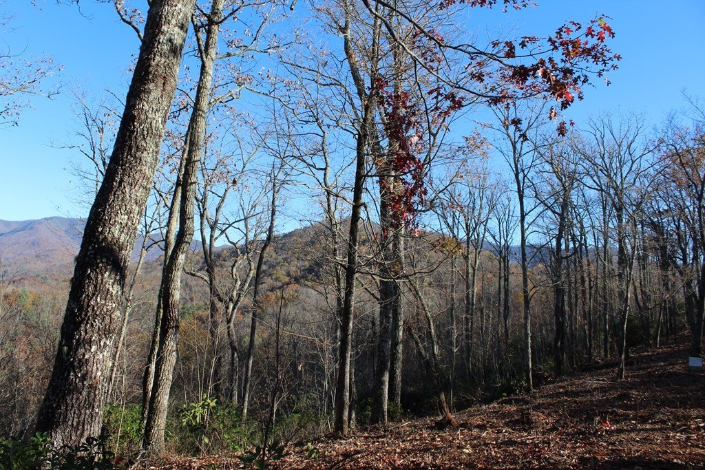 Other - 3 Gabriel Ridge, Hayesville, NC