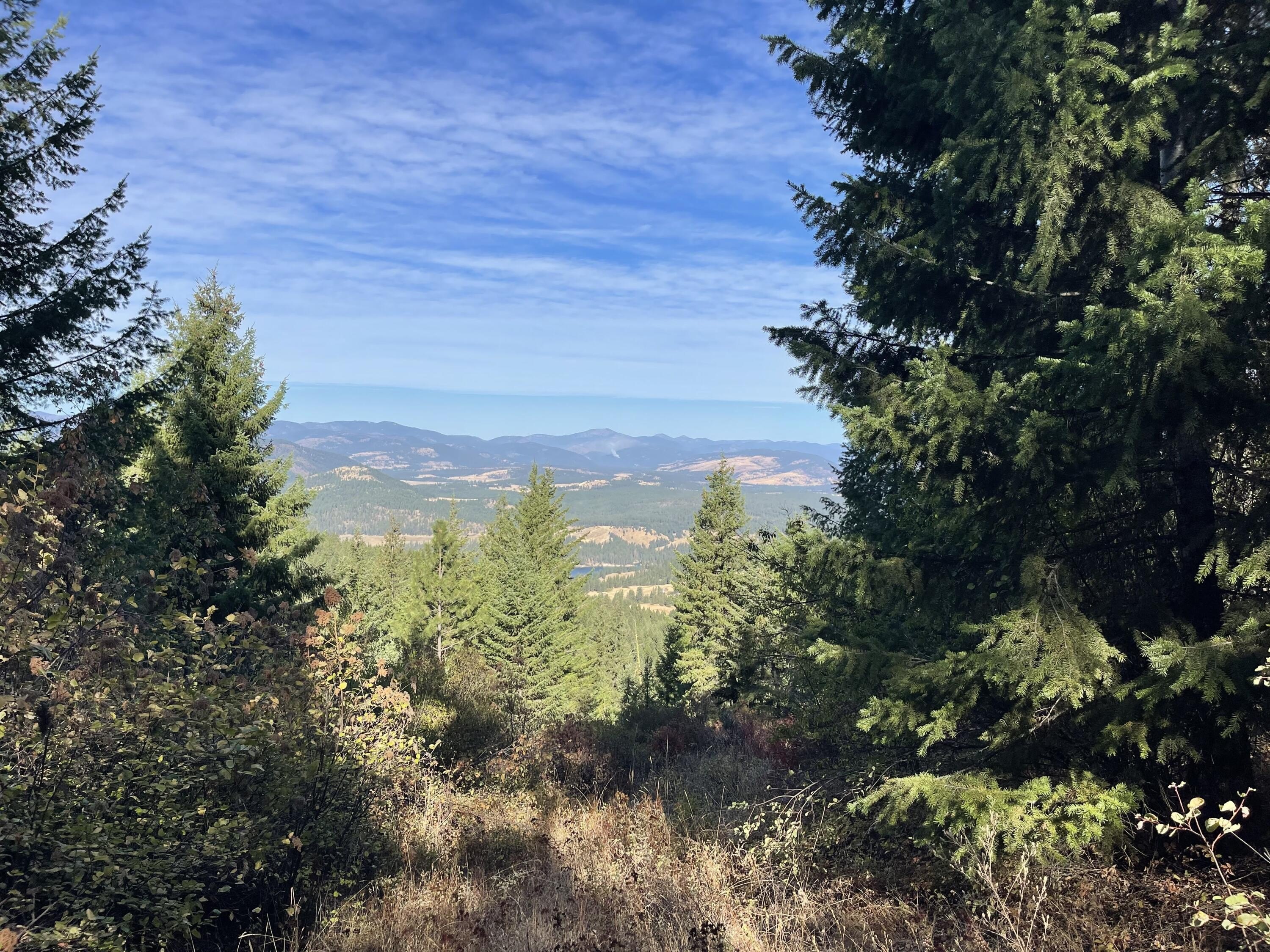 Other - 40XX BISSEL RD, HUNTERS, WA