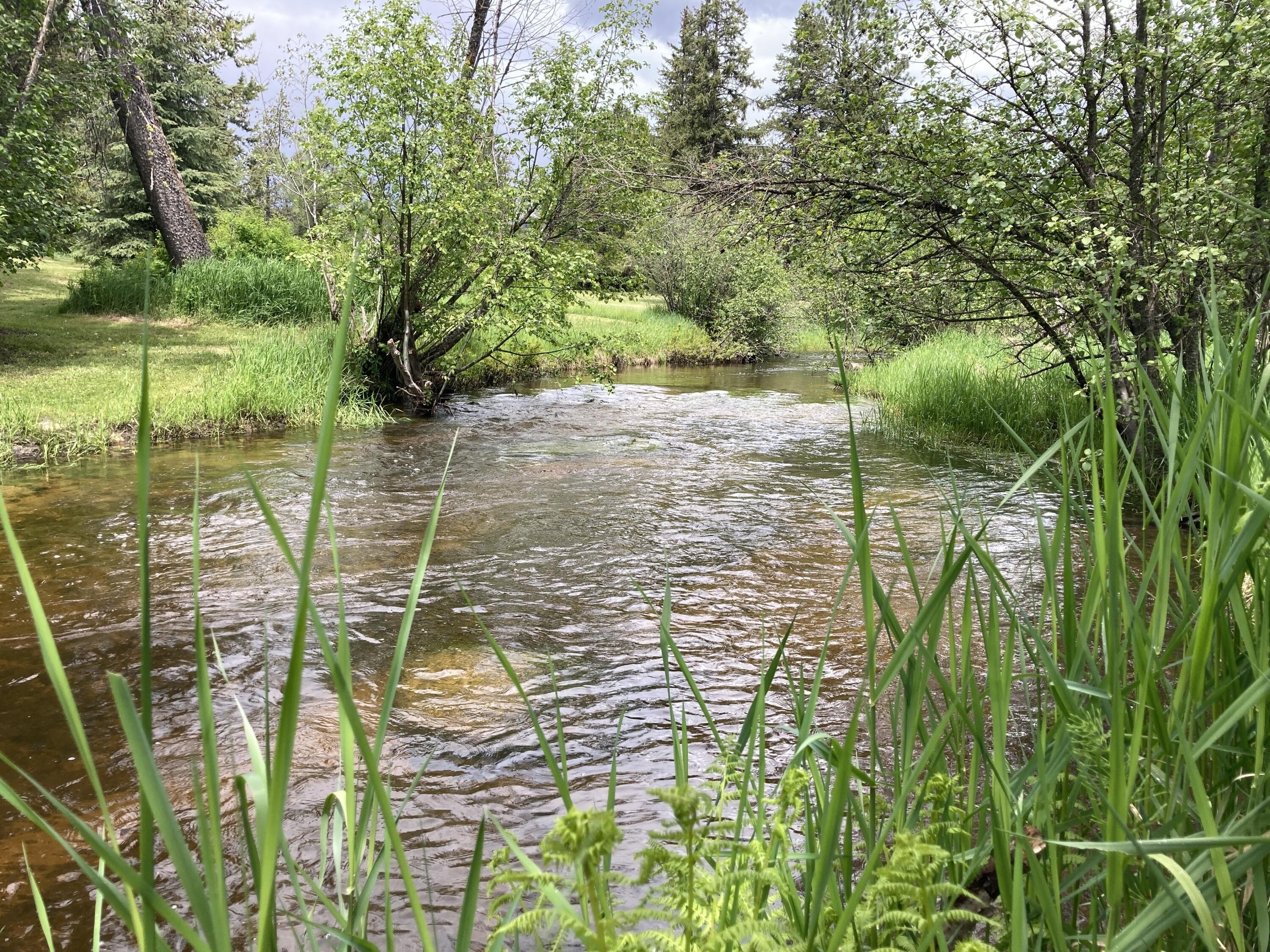 Other - 1496 HWY 20 XX, COLVILLE, WA