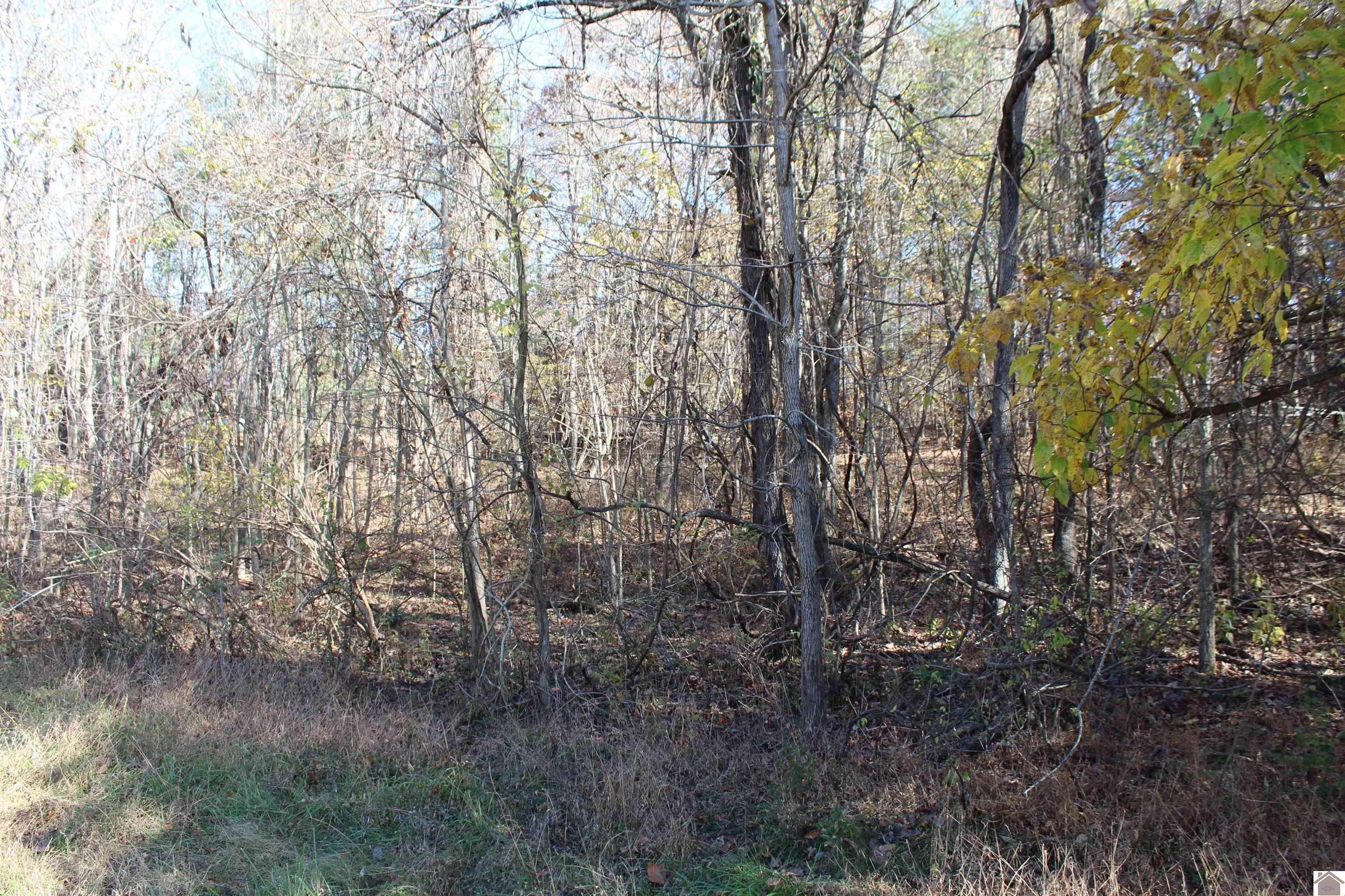 Other - Backstrom Heights Road lot: 49, Eddyville, KY