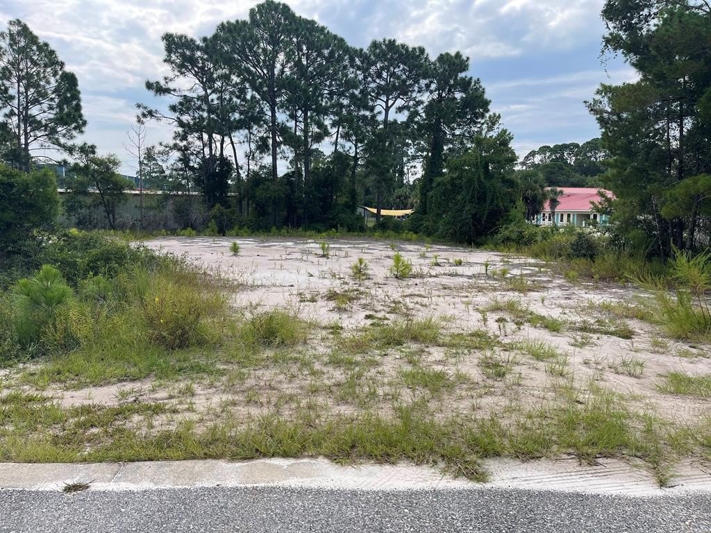 Other - 1584 Sea Breeze Way lot: 50, Carrabelle, FL