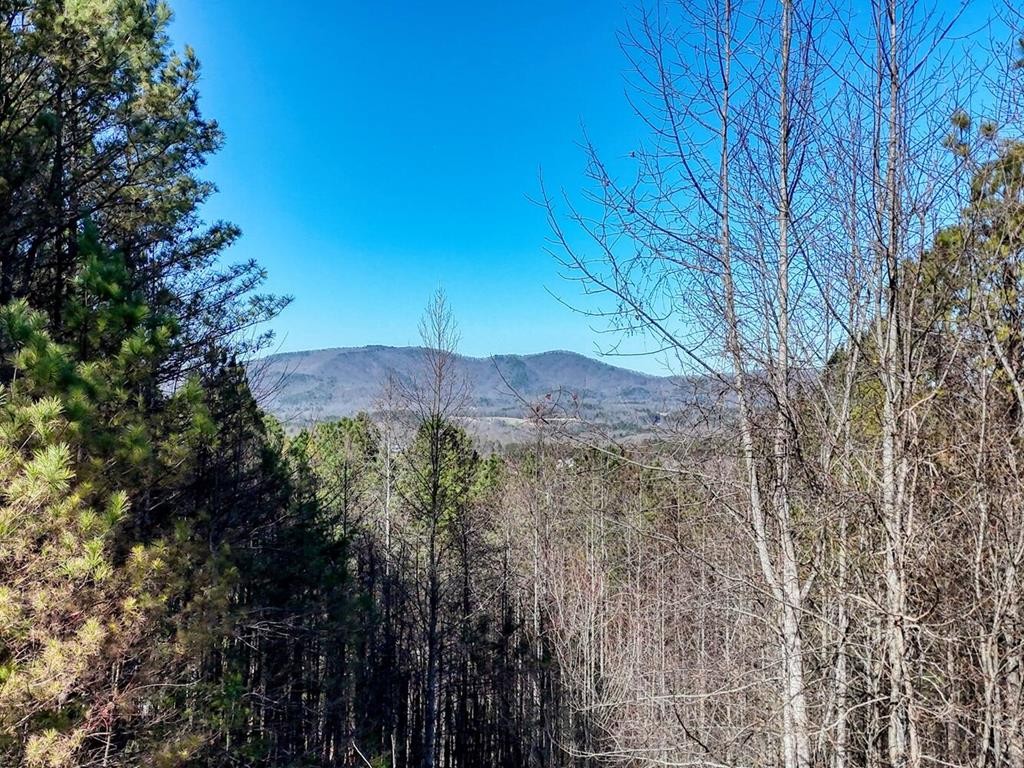 Lot 24 Loftis Mtn  