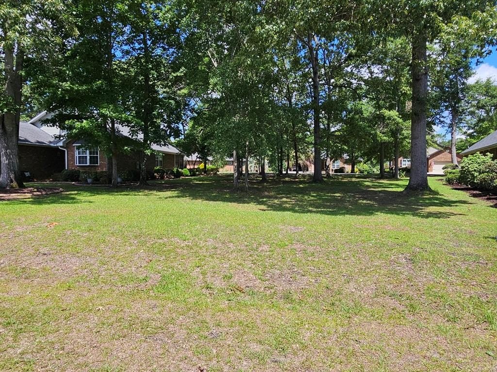 Other - 258 Ridge Lake Drive, Manning, SC