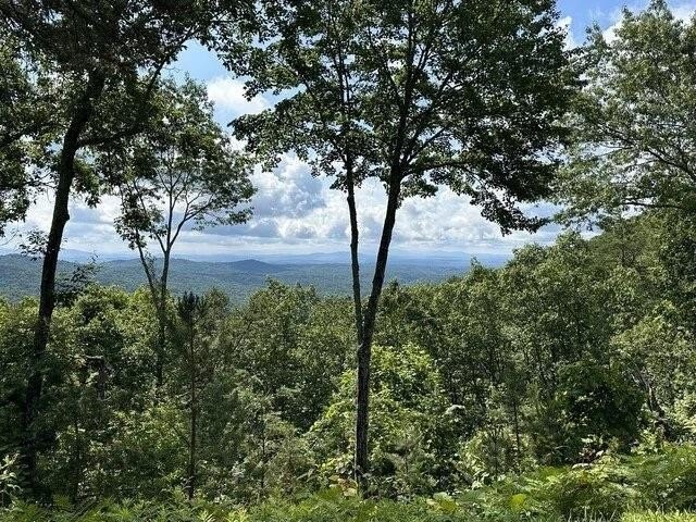 Other - Lot 46 Utana Bluffs Trail, Ellijay, GA