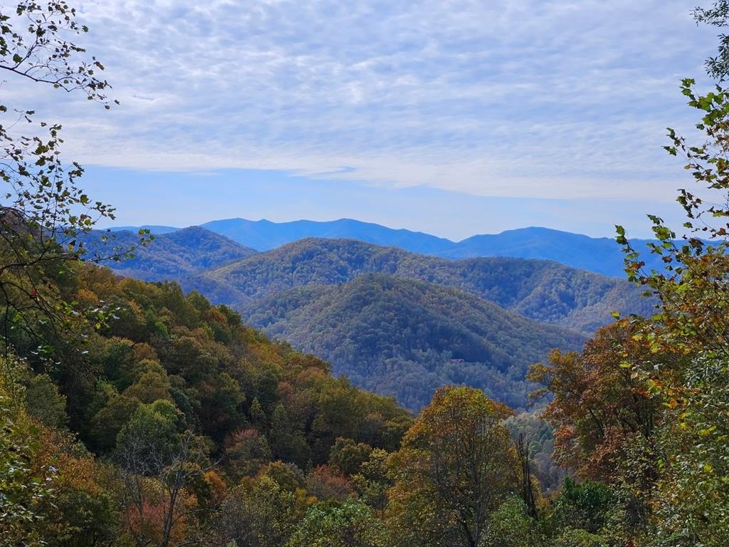 Other - Falls View Drive lot: 21, Bryson City, NC