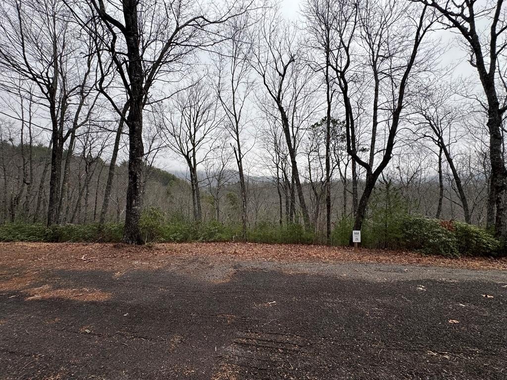 Other - Whisper Ridge Court lot: 21, Hiawassee, GA