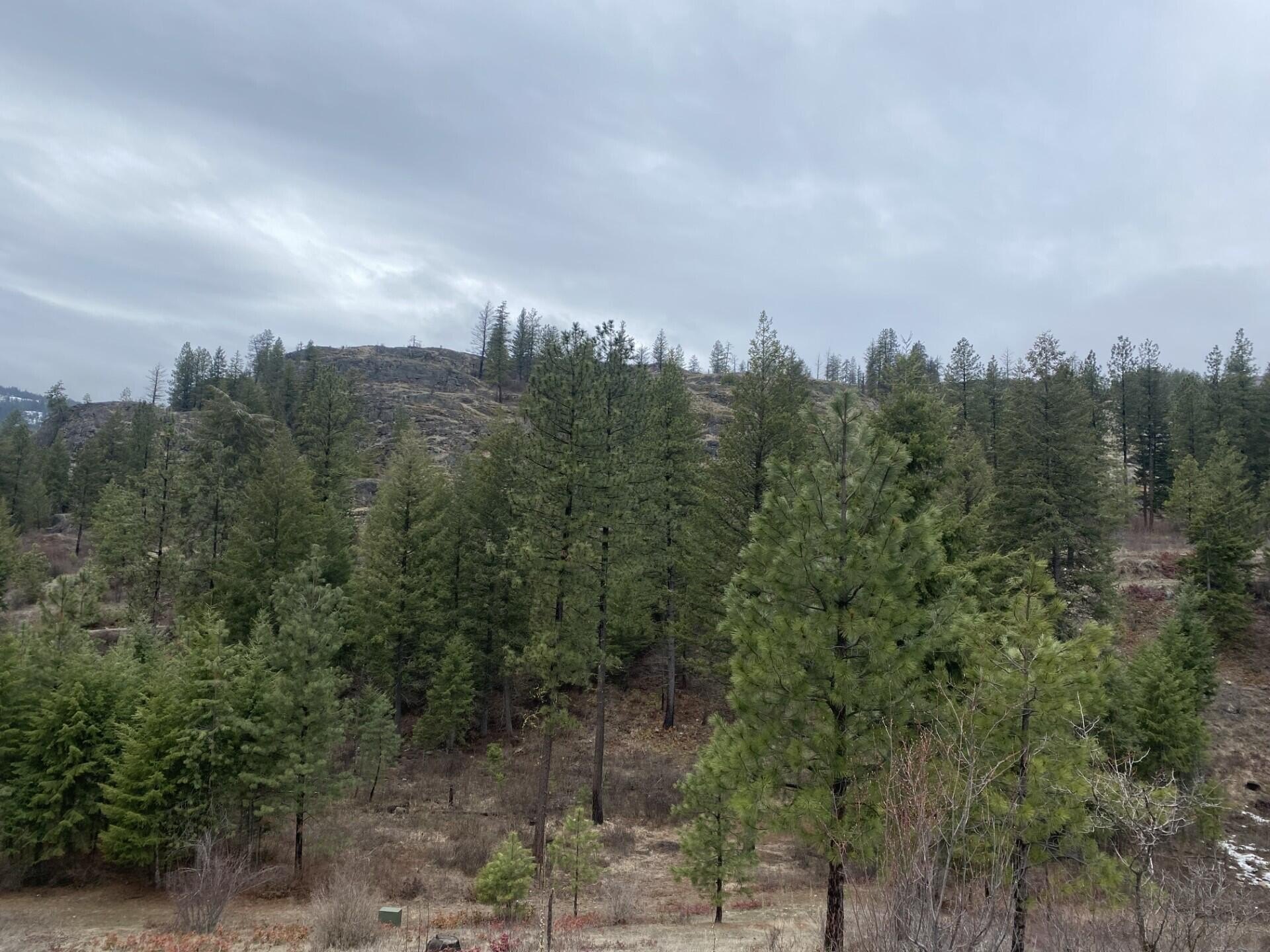 Other - TRACT 2 COWBOYS AND ANGELS AVE, KETTLE FALLS, WA