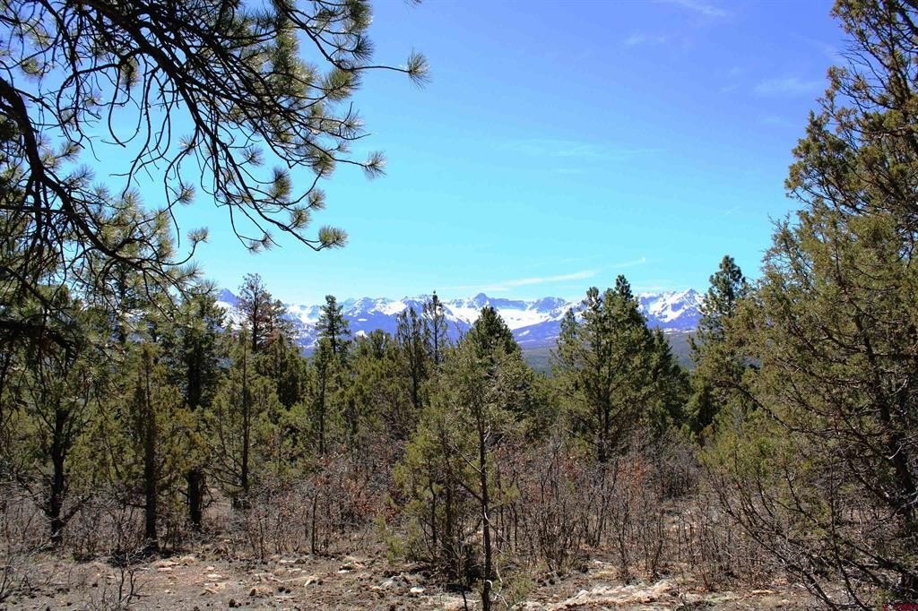 Single Family - TBD Old Relay Road, Ridgway, CO