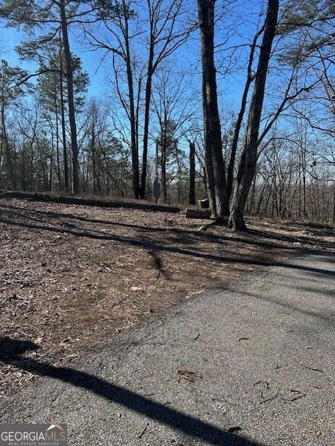 Other - 2695 Wildcat Bridge Road, Royston, GA