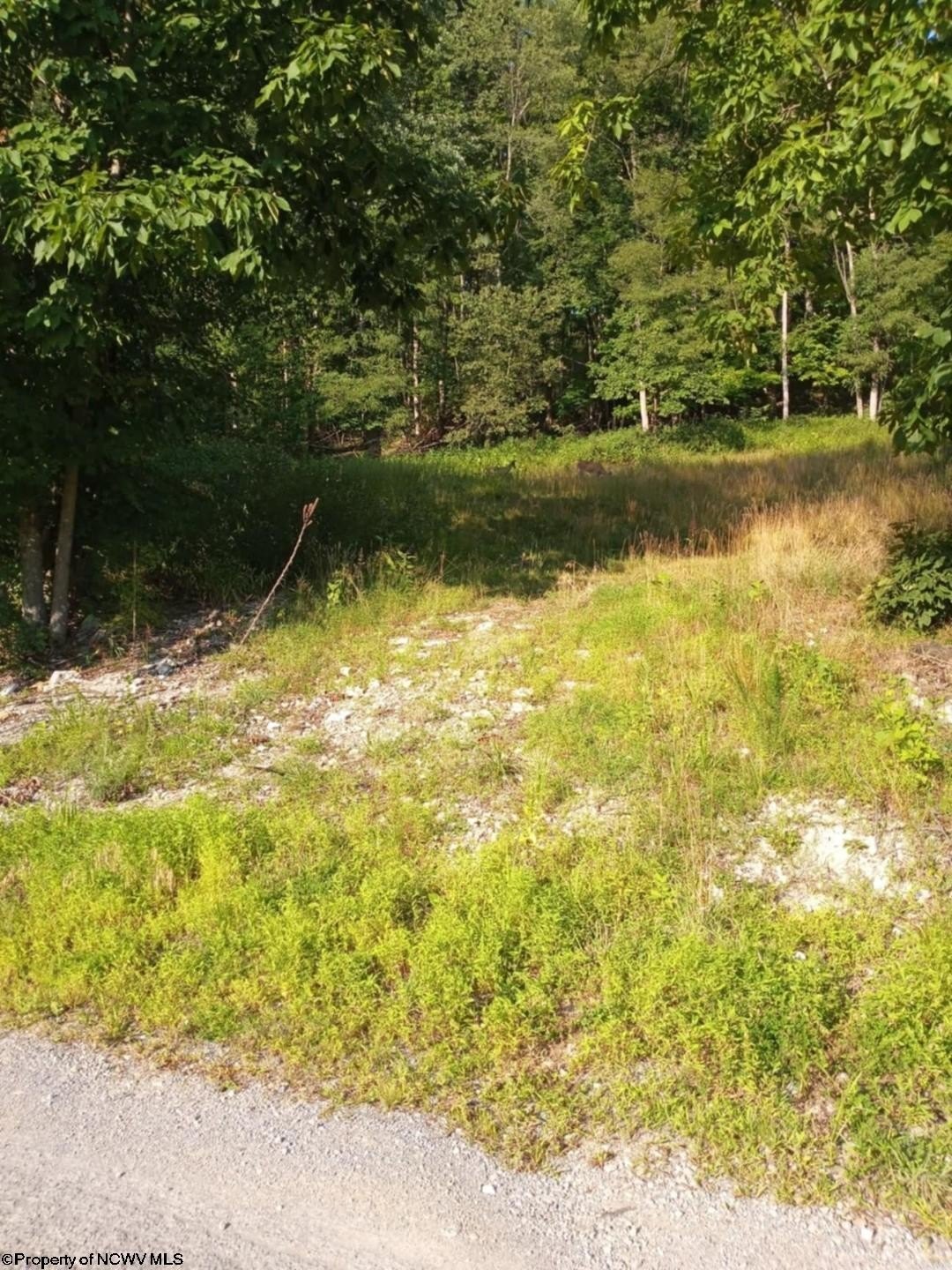 Other - 1024 Mount Lebanon Road, Buckhannon, WV