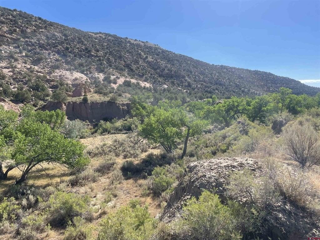 Single Family - 17979 Road G, Cortez, CO