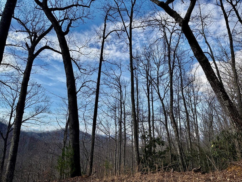 Other - Natures Edge Rd lot: 19, Franklin, NC