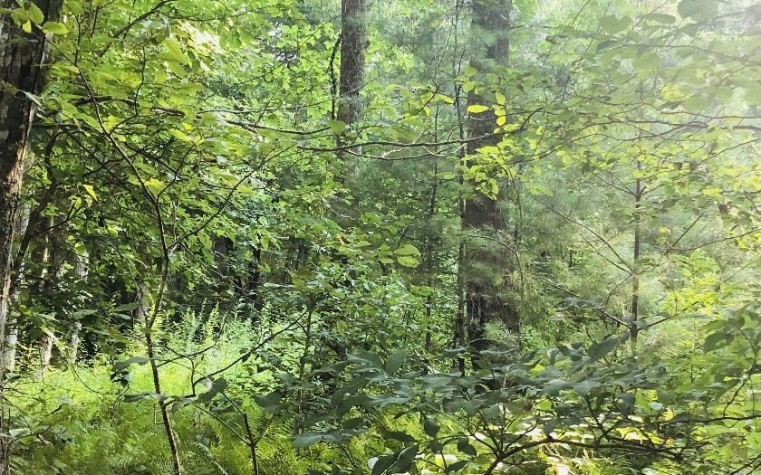 Other - 99/98 Hi River Country, Hiawassee, GA