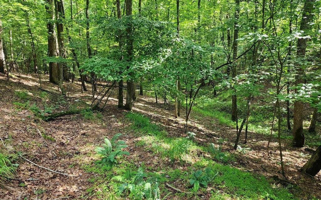 Other - Oneida Circle, Ellijay, GA