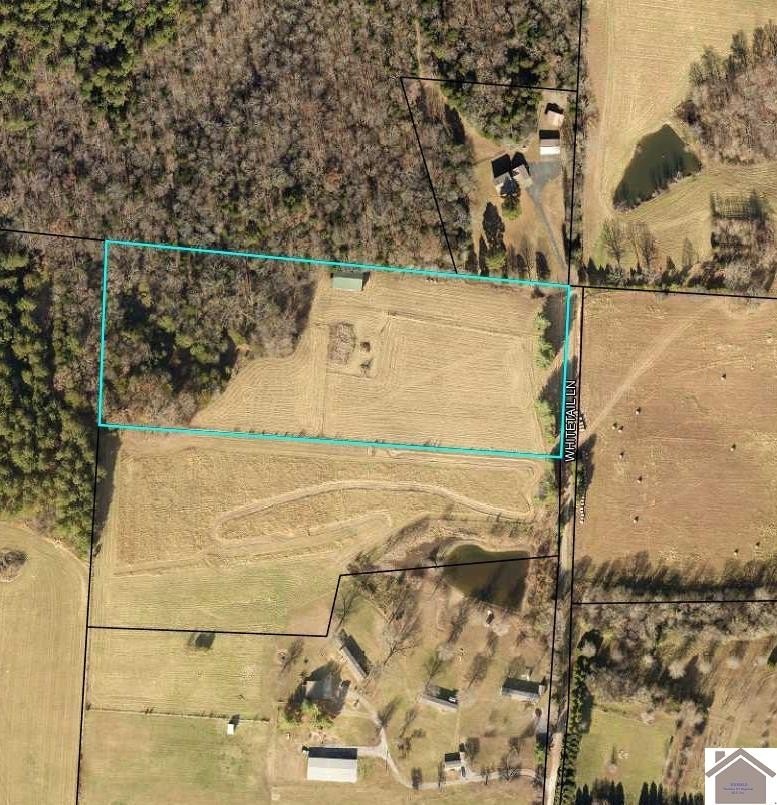 Single Family 2BR 2BA - 227 Whitetail Ln, Hazel, KY