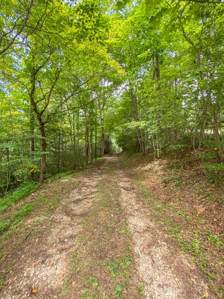 Other - 9999 Cindy Cove Trail, ROBBINSVILLE, NC