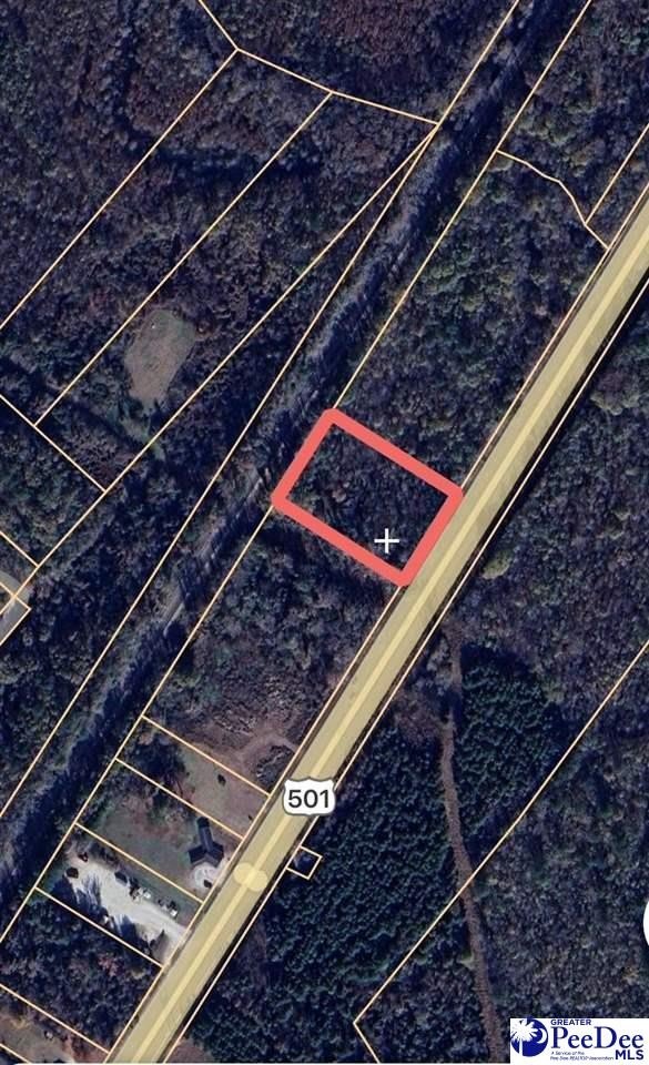 Manufactured Housing - 3131 S Highway 301, Dillon, SC