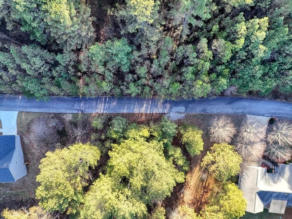 Other - Pinehurst lot: 14, Blairsville, GA
