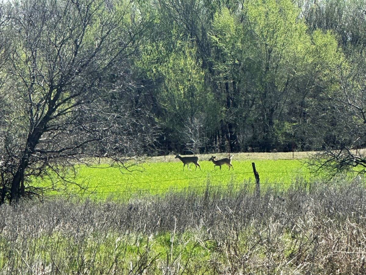 Other - E 1960 Rd, Grandfield, OK