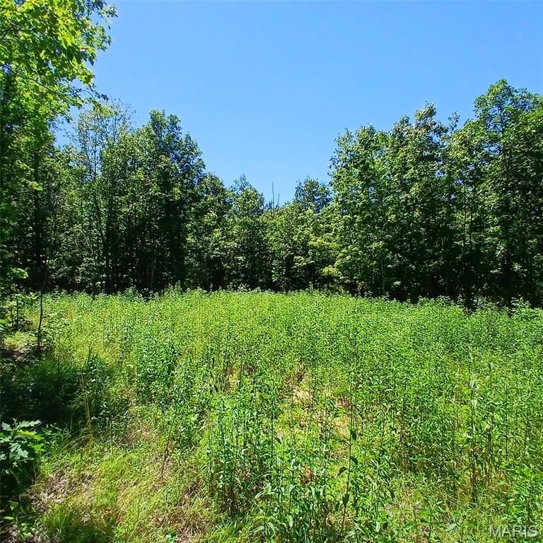 Other - 0000000 Easement, Annapolis, MO