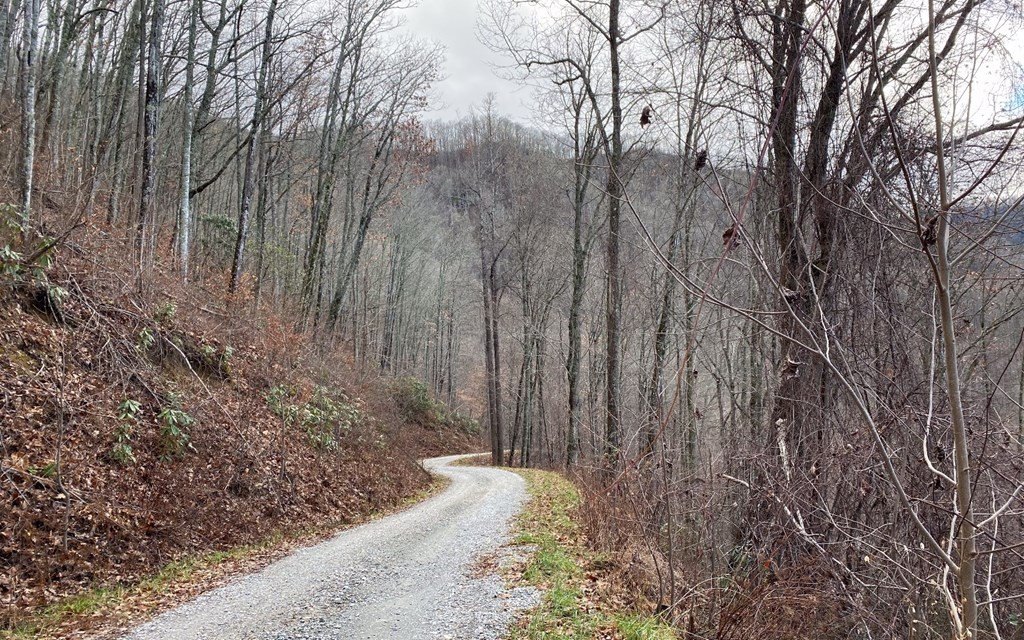 Other - Lot Off Buck Naked, Bryson City, NC