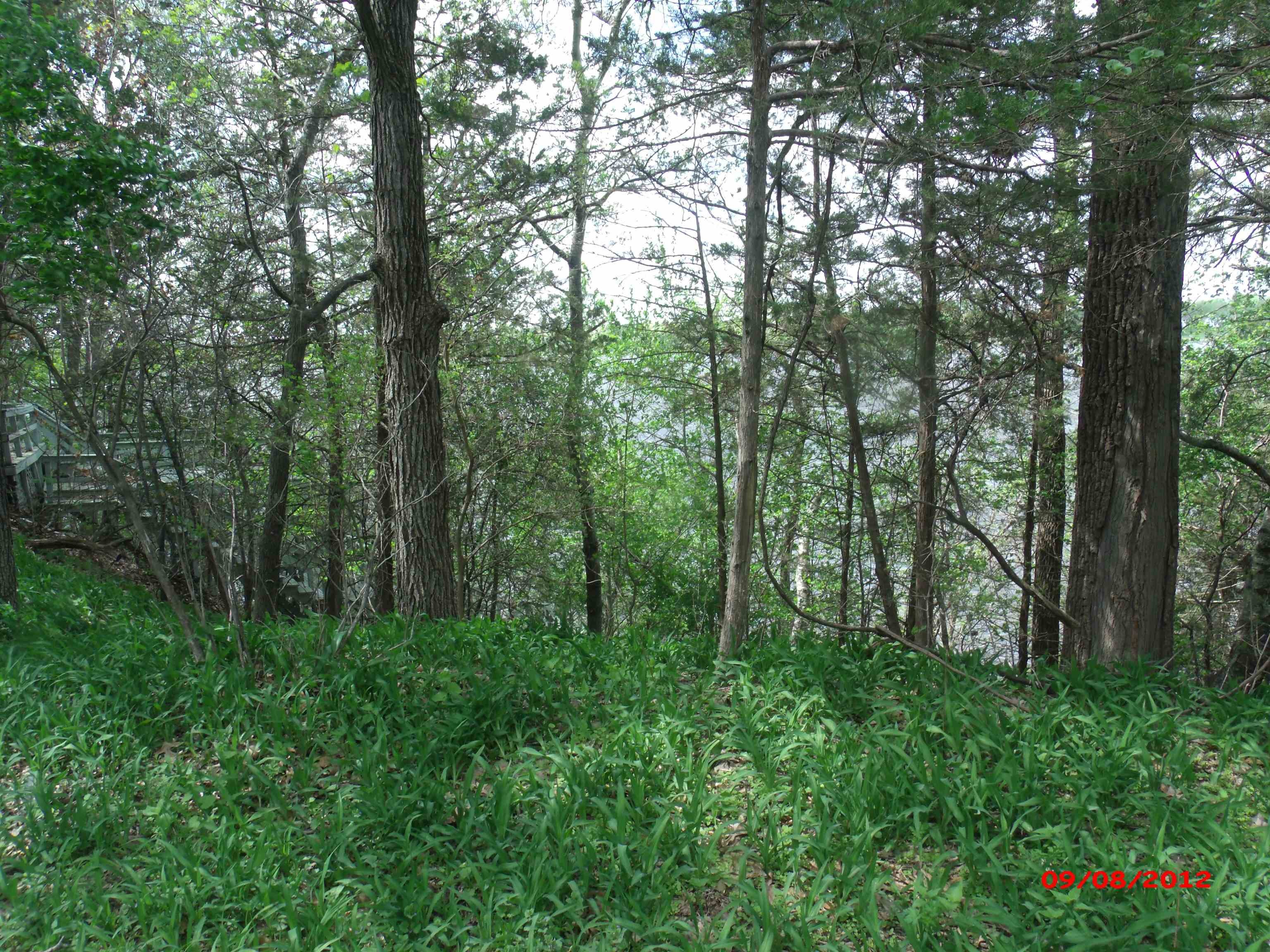 Other - .57 Ac Water Street, Montello, WI