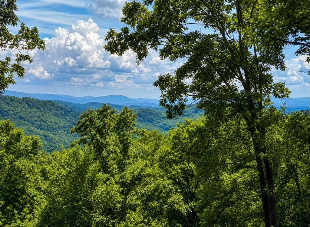 Other 3BR 3BA - 649 Weaver Creek Way, Blue Ridge, GA