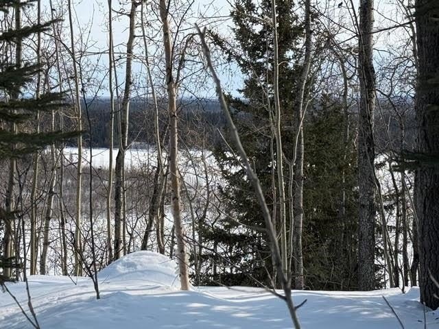 Other - NHN EDBY ROAD, Fairbanks, AK