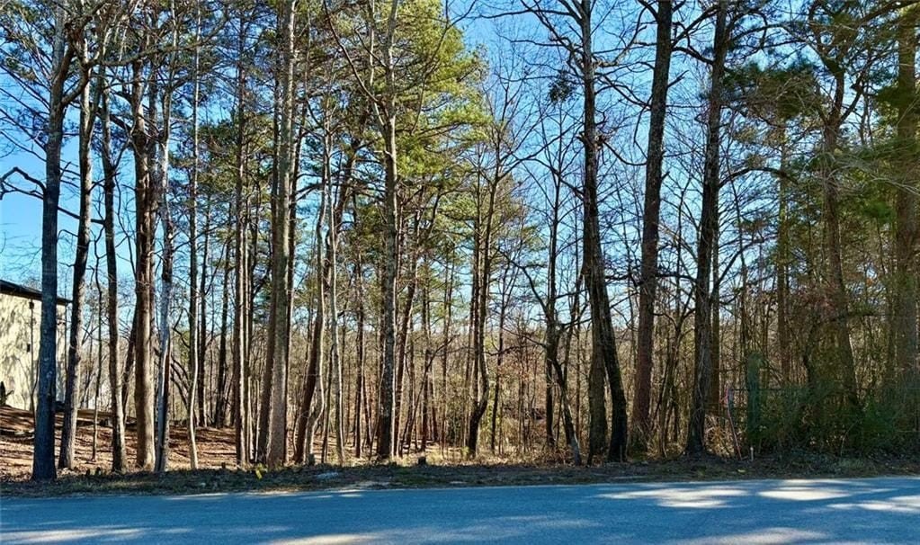 Other - 0 N Waterworks Road, Buford, GA
